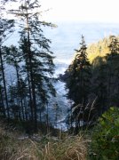 Cape Lookout 034 